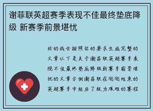 谢菲联英超赛季表现不佳最终垫底降级 新赛季前景堪忧