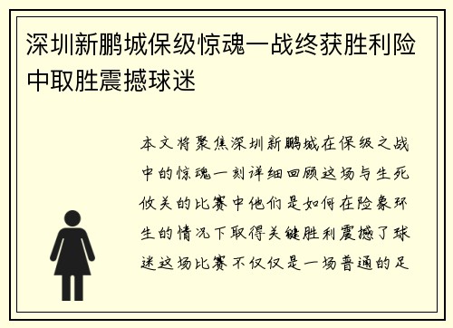 深圳新鹏城保级惊魂一战终获胜利险中取胜震撼球迷